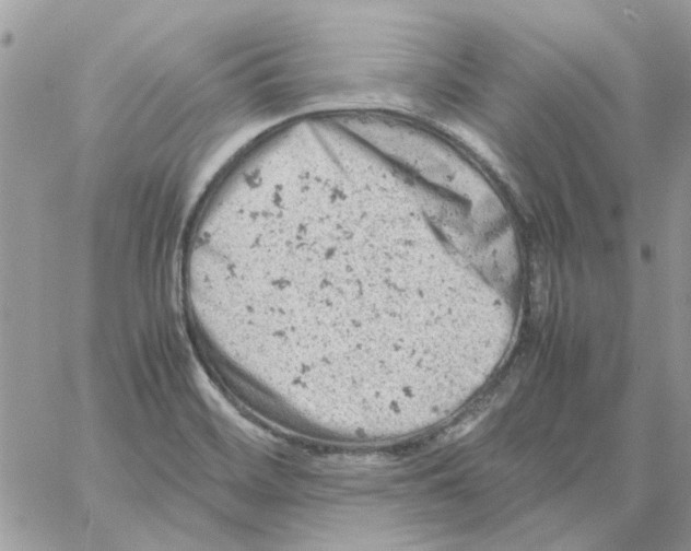 X0000061741468200512302159