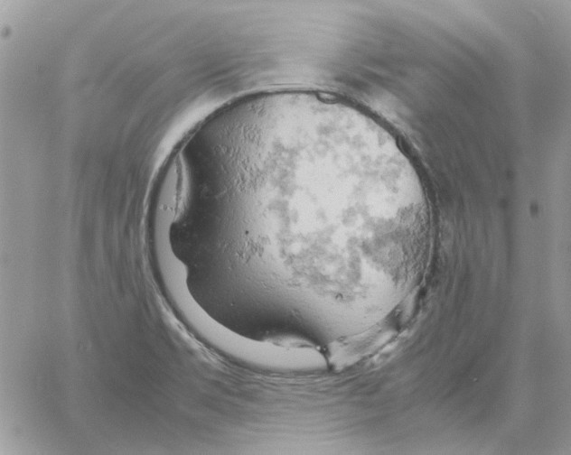 X0000061741469200512302159