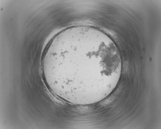 X0000061741470200512302159