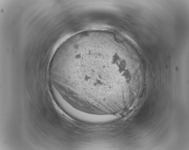 X0000061741471200512302159