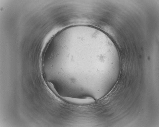 X0000061741472200512302159