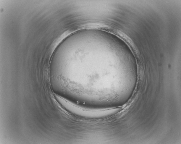 X0000061741473200512302159