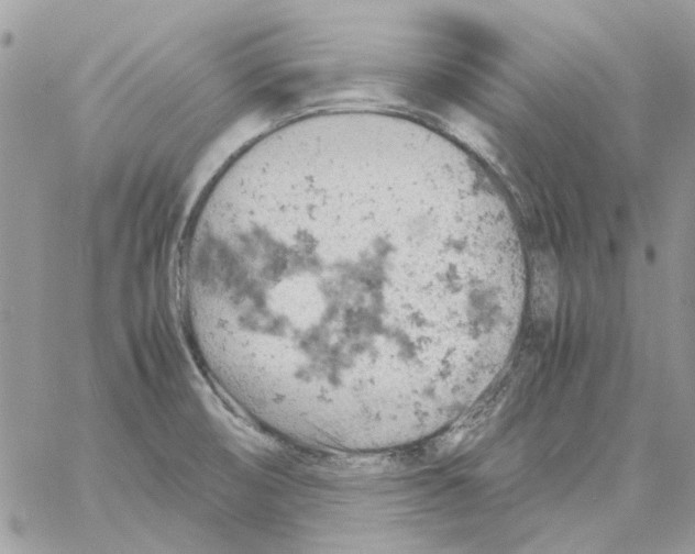 X0000061741474200512302159