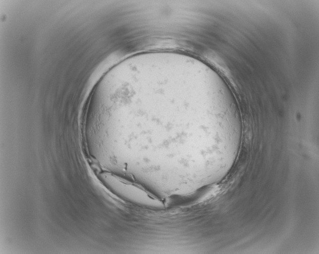 X0000061741475200512302159