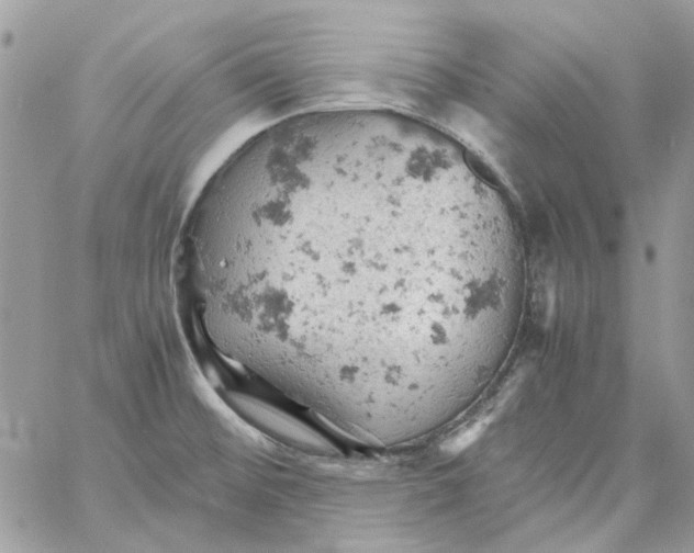 X0000061741476200512302159