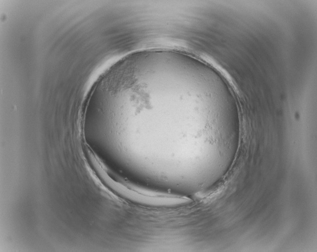 X0000061741477200512302159