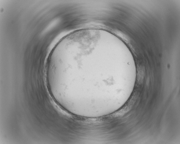 X0000061741478200512302159