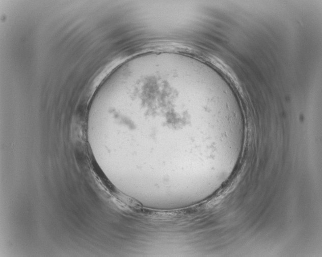 X0000061741481200512302159