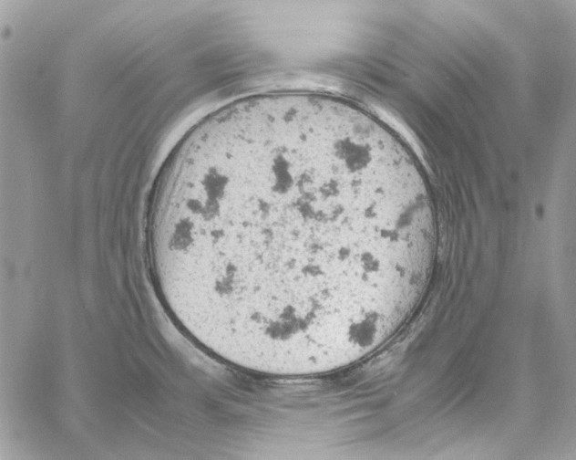 X0000061741483200512302159