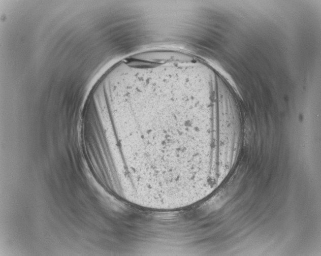 X0000061741484200512302159