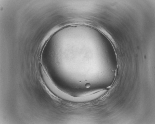 X0000061741485200512302158