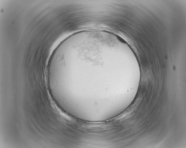 X0000061741486200512302158