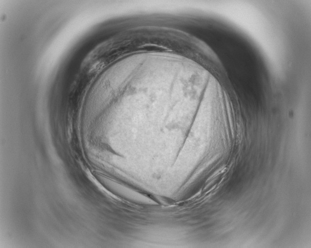 X0000061741487200512302158