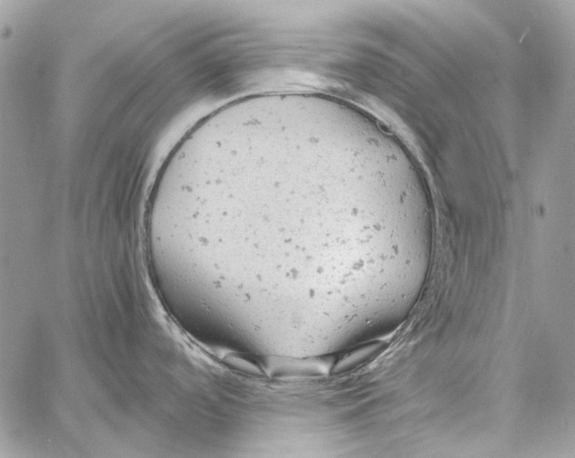 X0000061741488200512302158