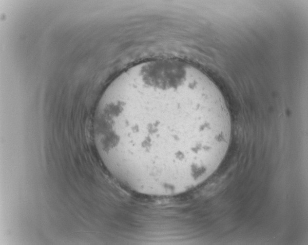 X0000061741490200512302158