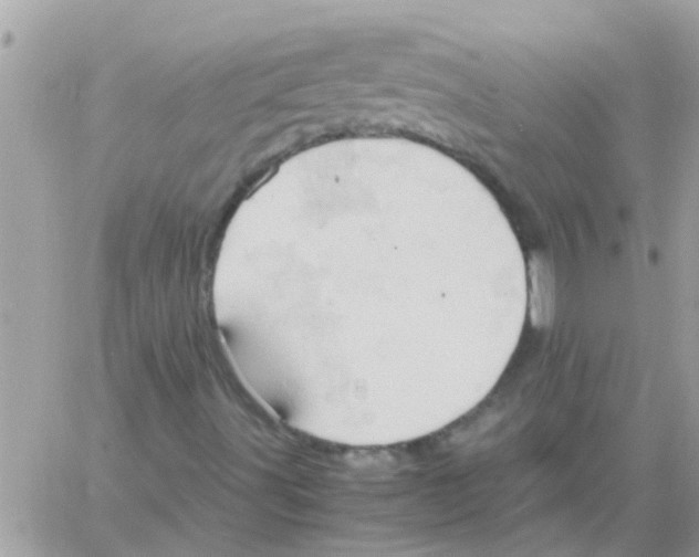 X0000061741491200512302158