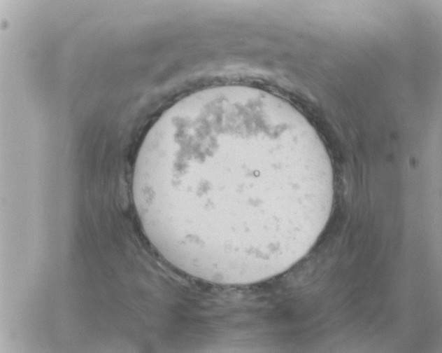 X0000061741493200512302158