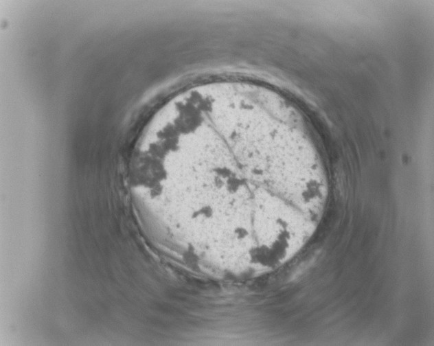 X0000061741494200512302158