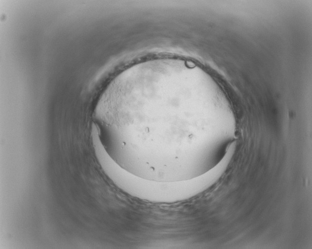 X0000061741495200512302158