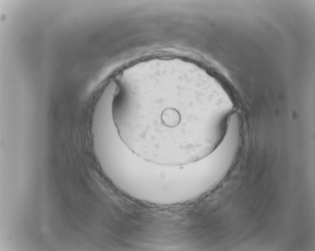 X0000061741496200512302158