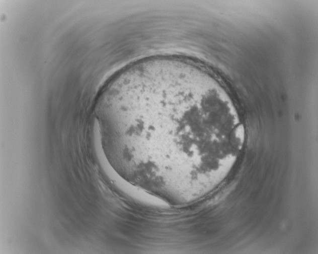 X0000061741497200512302158