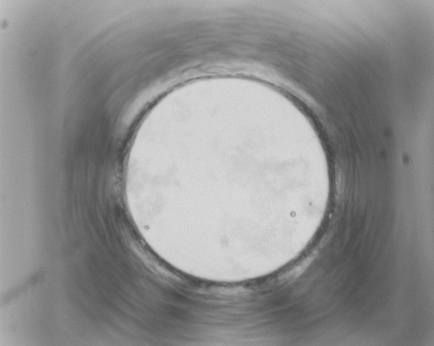 X0000061741498200512302158