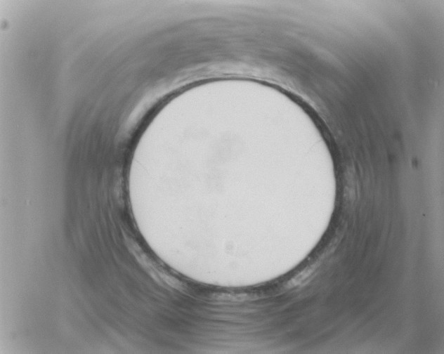 X0000061741499200512302158