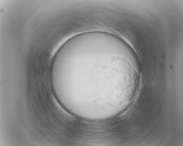 X0000061741500200512302158