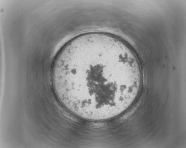 X0000061741501200512302158