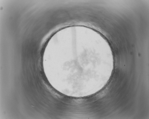 X0000061741502200512302158