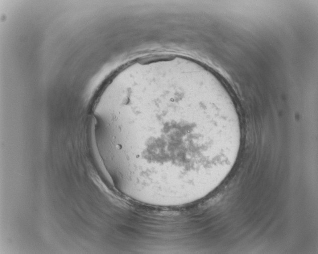 X0000061741503200512302158