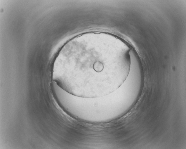 X0000061741504200512302158