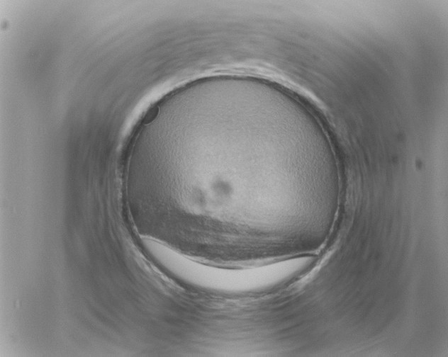 X0000061741506200512302158