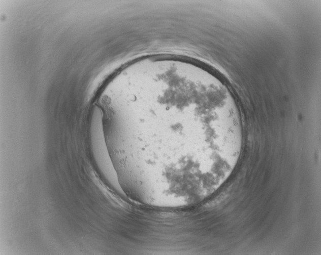 X0000061741507200512302158