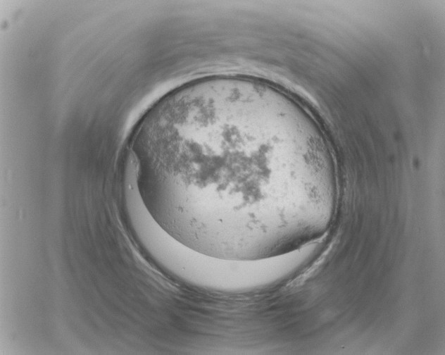 X0000061741509200512302158