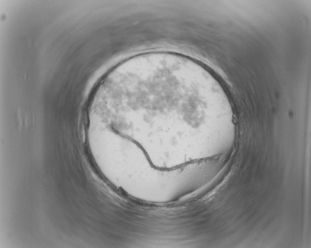 X0000061741510200512302158