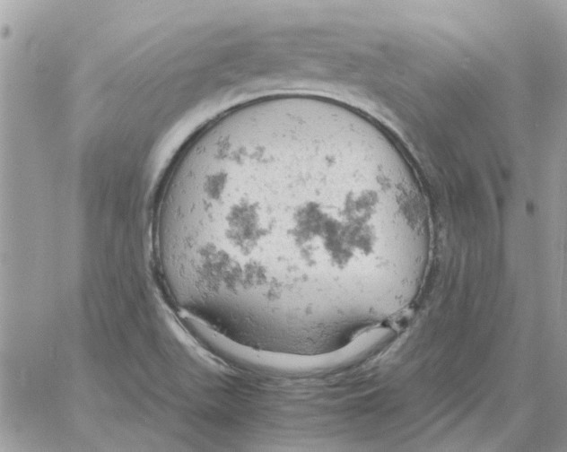 X0000061741511200512302158