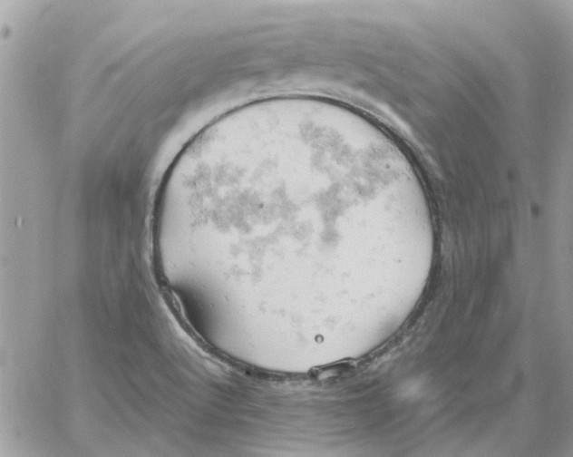 X0000061741512200512302158