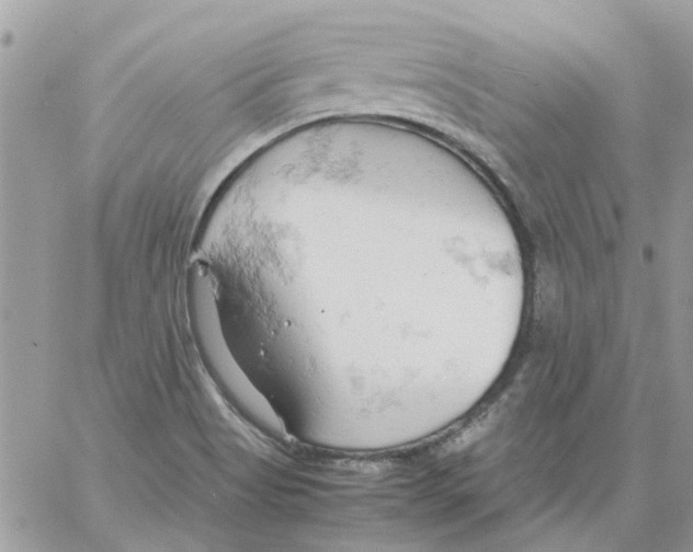 X0000061741513200512302158