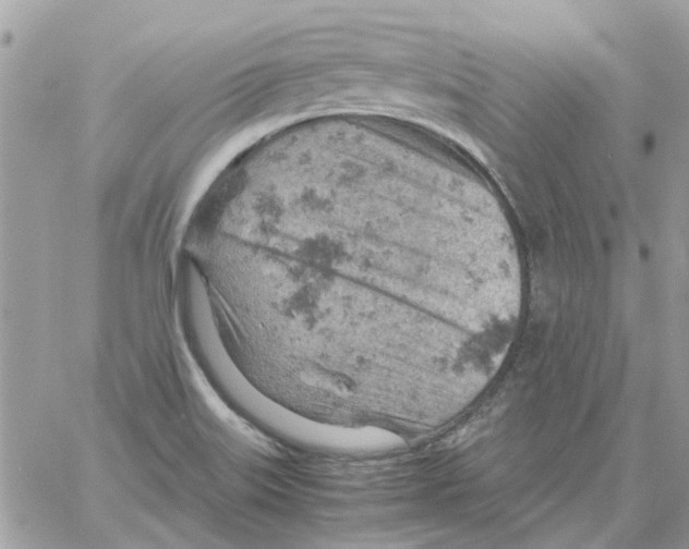 X0000061741515200512302158