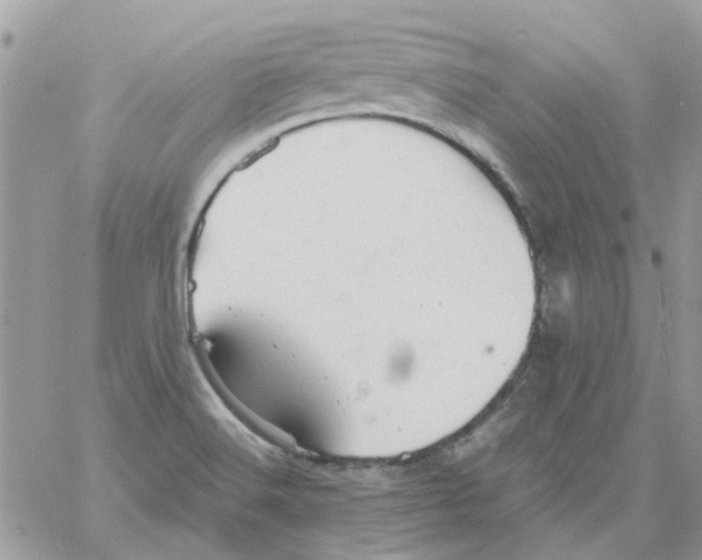 X0000061741516200512302158