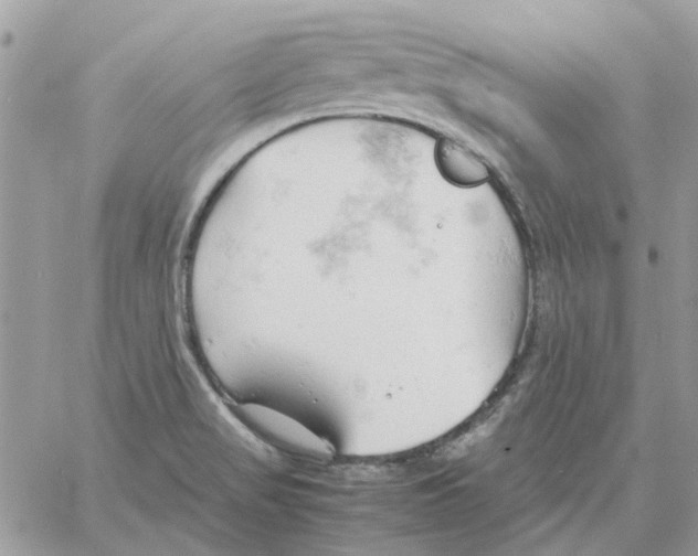 X0000061741517200512302158