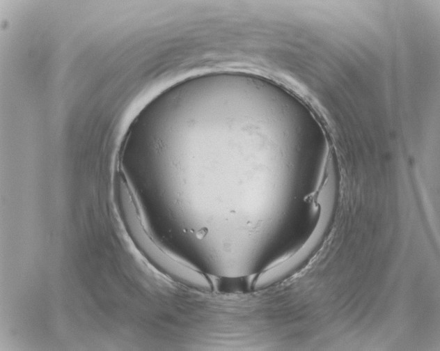 X0000061741520200512302158