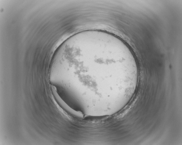 X0000061741521200512302158