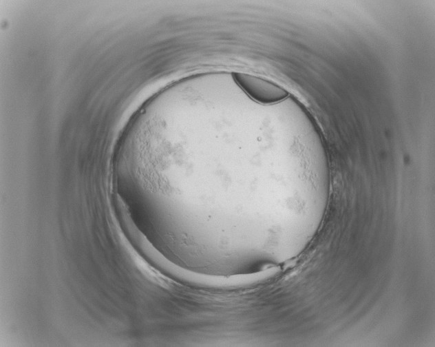 X0000061741523200512302158