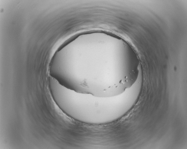 X0000061741524200512302158