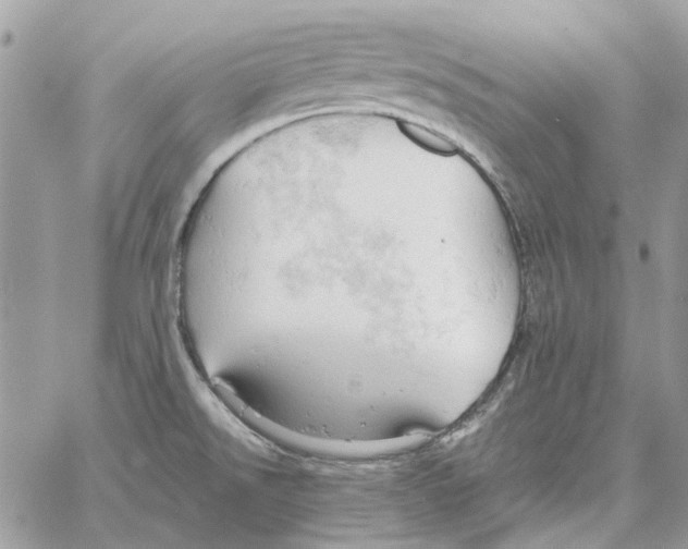 X0000061741526200512302158