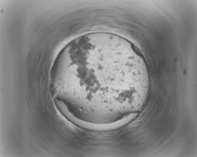 X0000061741527200512302158