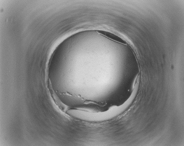 X0000061741528200512302158