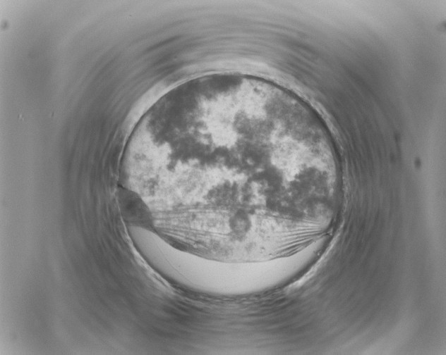 X0000061741529200512302158